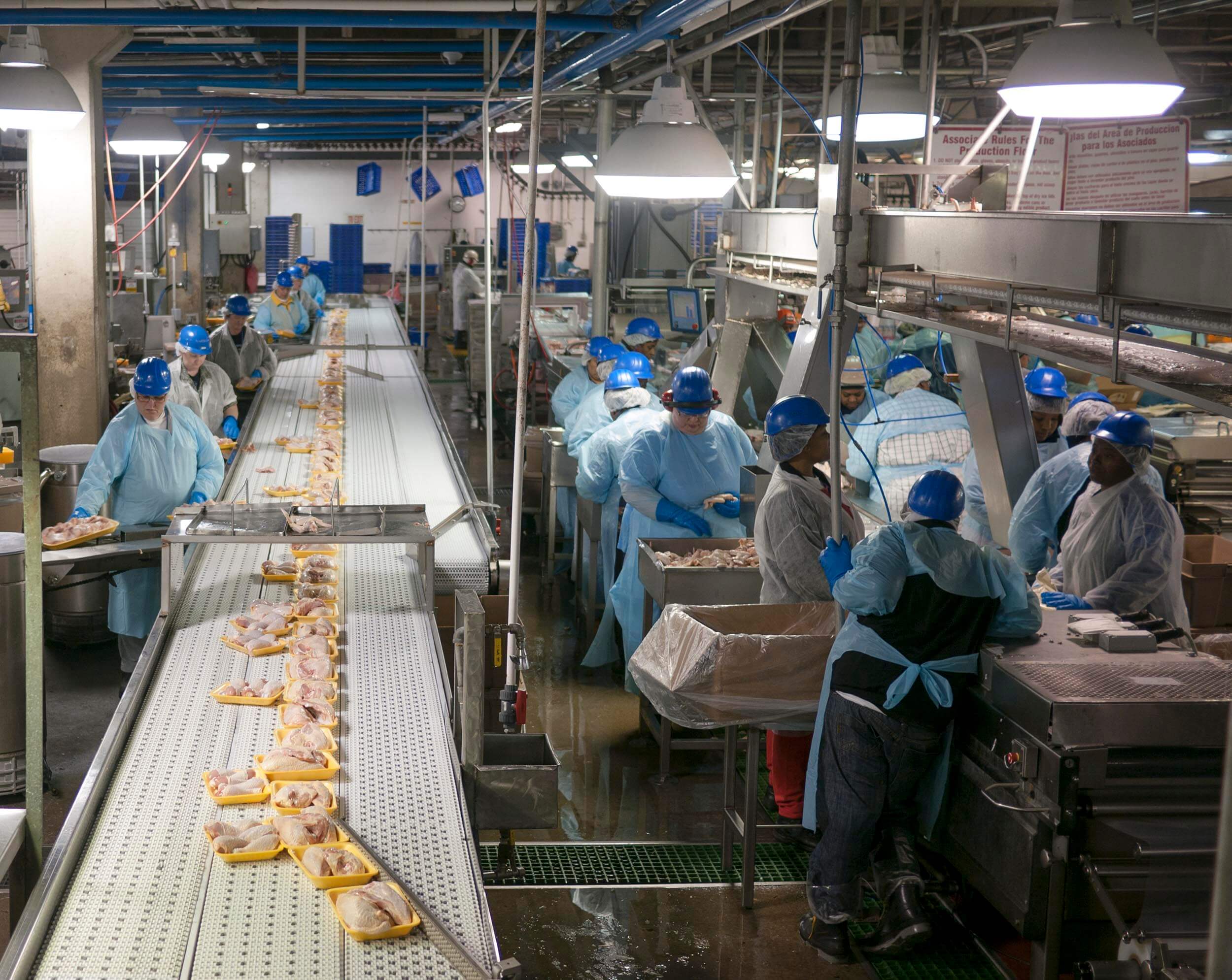 Perdue Farms Success Story Delaware Prosperity Partnership