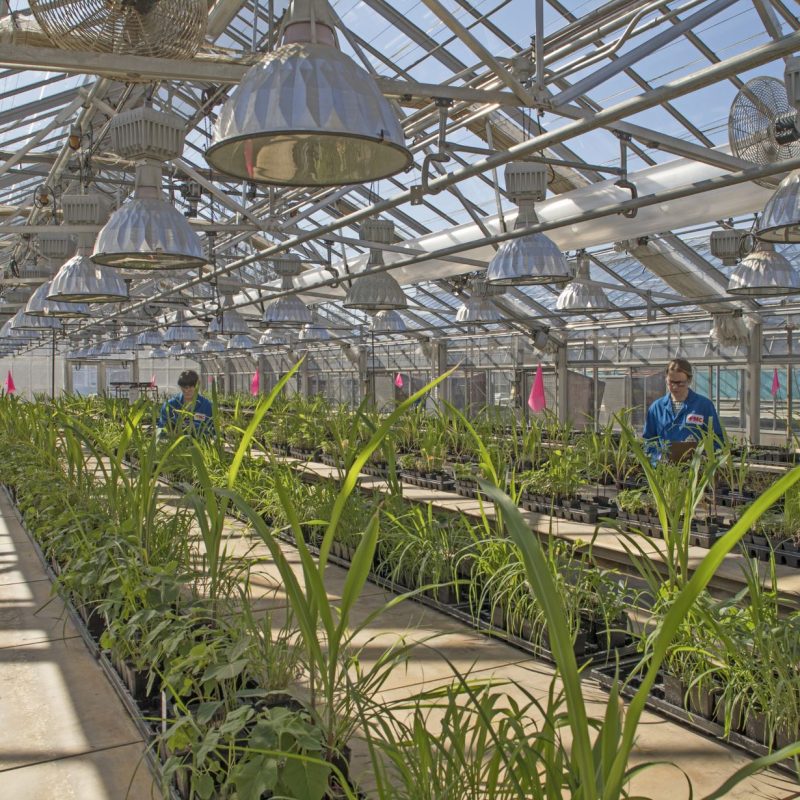 FMC Corporation Business in Delaware Delaware Prosperity Partnership