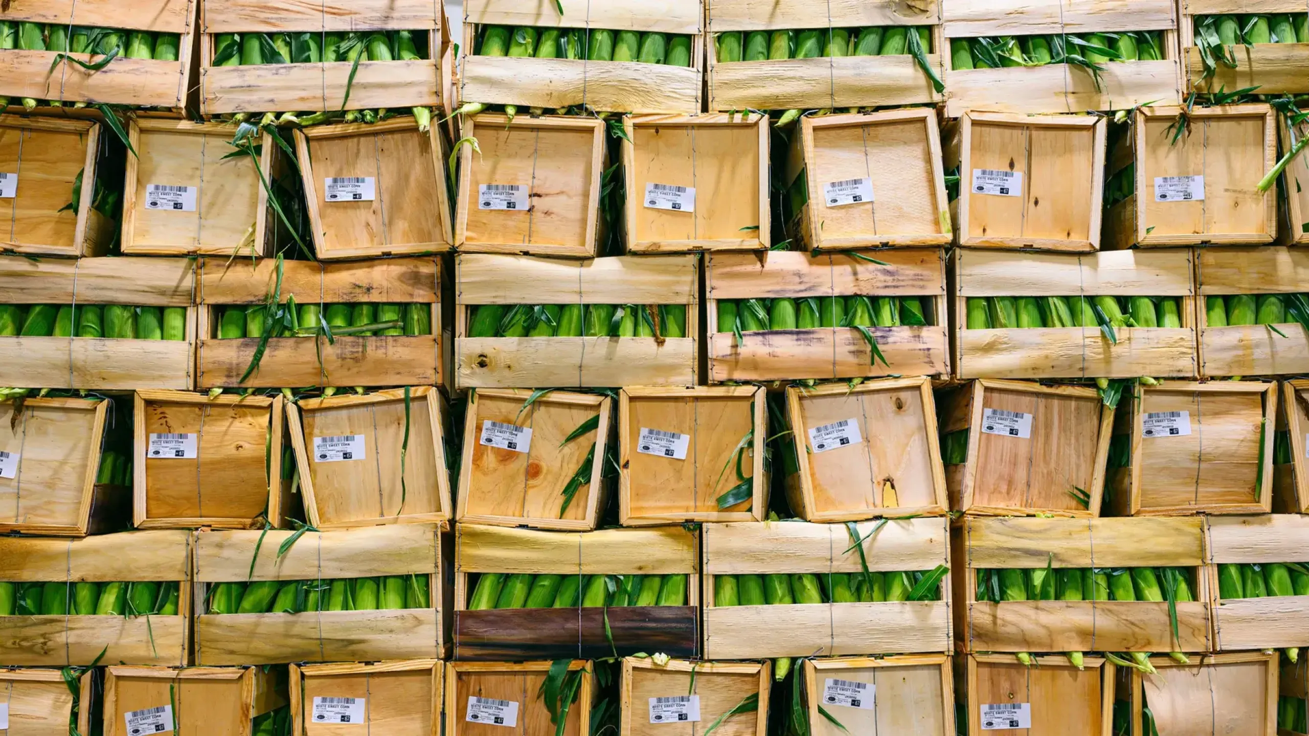 Delaware Farming Products